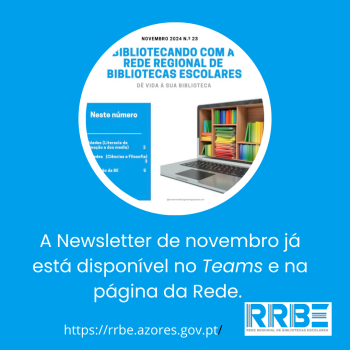 Newsletter de novembro – 2024